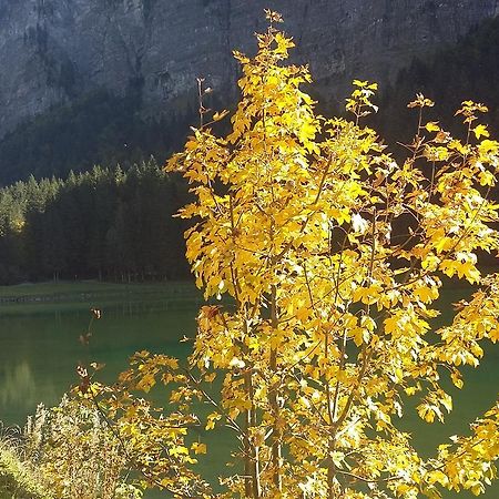 Logis Hotel Les Sapins Montriond Exterior photo