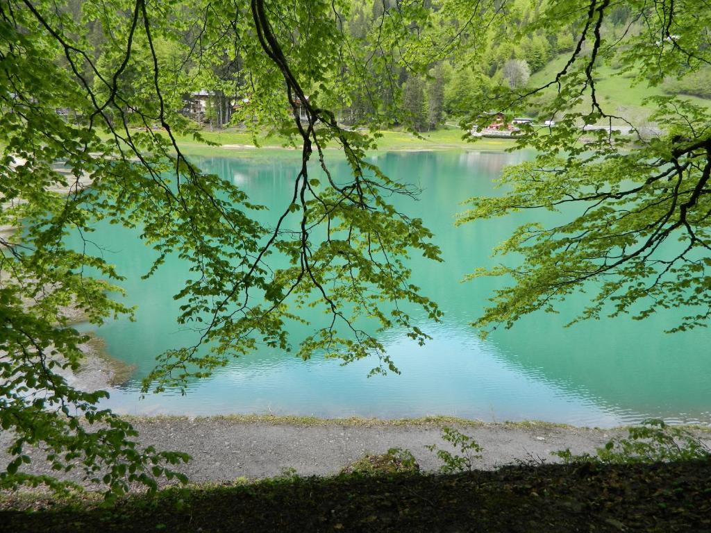 Logis Hotel Les Sapins Montriond Exterior photo