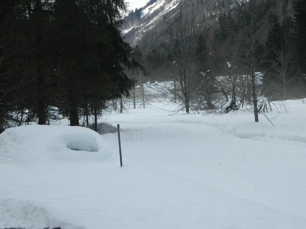 Logis Hotel Les Sapins Montriond Exterior photo