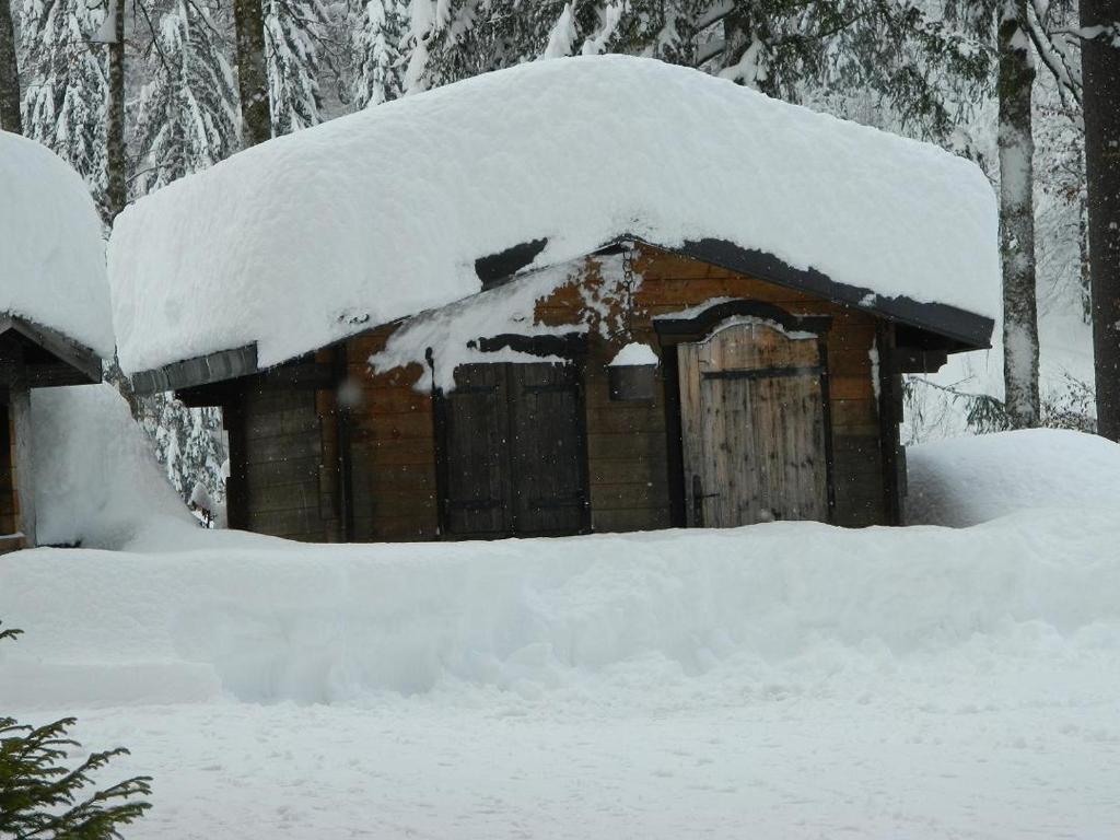 Logis Hotel Les Sapins Montriond Exterior photo