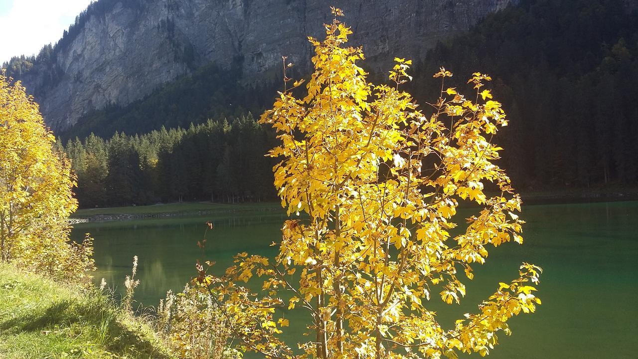 Logis Hotel Les Sapins Montriond Exterior photo