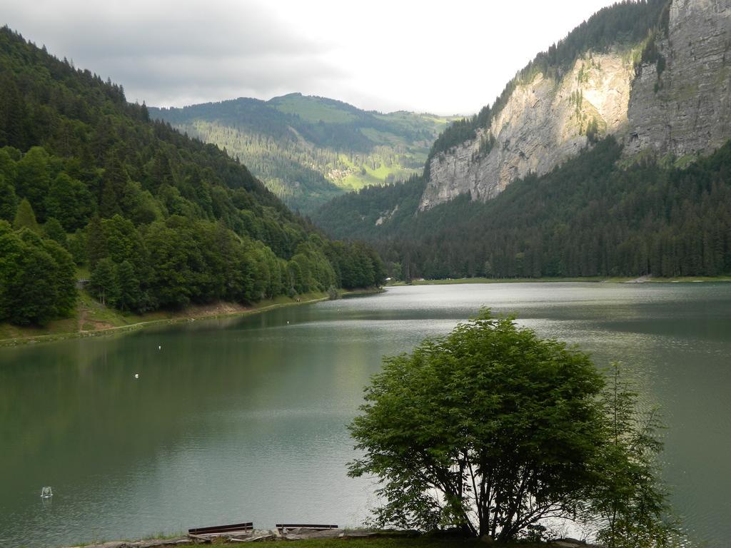 Logis Hotel Les Sapins Montriond Exterior photo